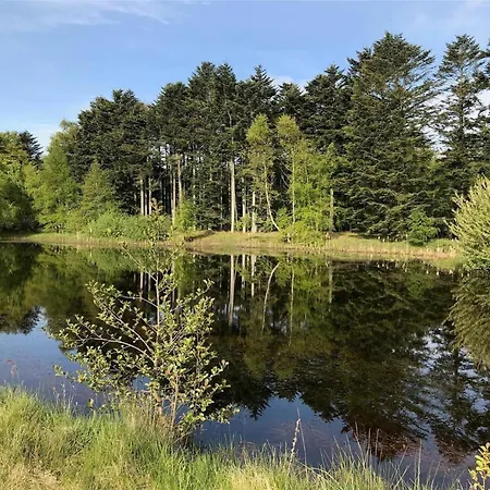 Σπίτι διακοπών Bl653-saltum-nordvestvej-27